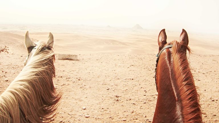 Horseback riding vacation - best places to ride horses