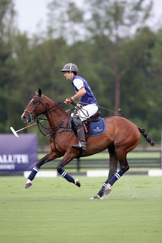 Prince Harry Sentebale Polo Cup - Prince Harry Polo Rules