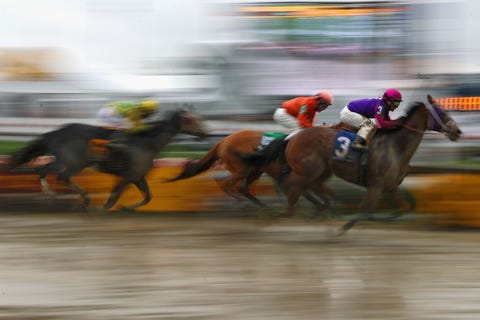 Why Do Horses Die In Races Barbaro Pramedya Homeboykris Deaths Why Do Horses Die In Races Barbaro Pramedya Homeboykris Deaths