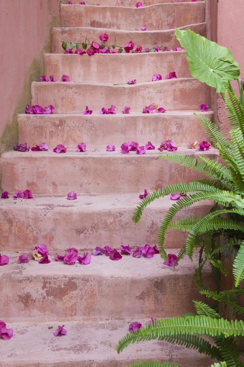 Spring flowers on staircase, Chania, Crete, Greece