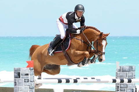Show jumping, Vertebrate, Shoe, Jumping, Organism, Equestrian sport, English riding, Recreation, Horse, Jumping, 