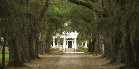 Door, Woody plant, Trunk, Shade, Arch, Plantation, Mansion, Driveway, Park, Historic site, 