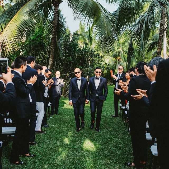 Formal wear, Suit, Arecales, Ceremony, Palm tree, Official, Tuxedo, 