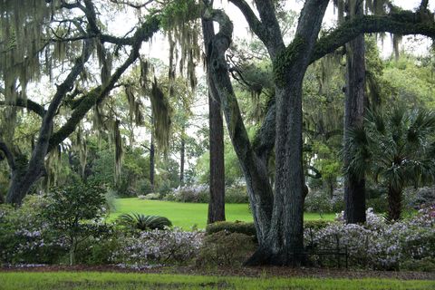 Marshall Field Nelson Doubleday Plantation - Photos Of South Carolina ...