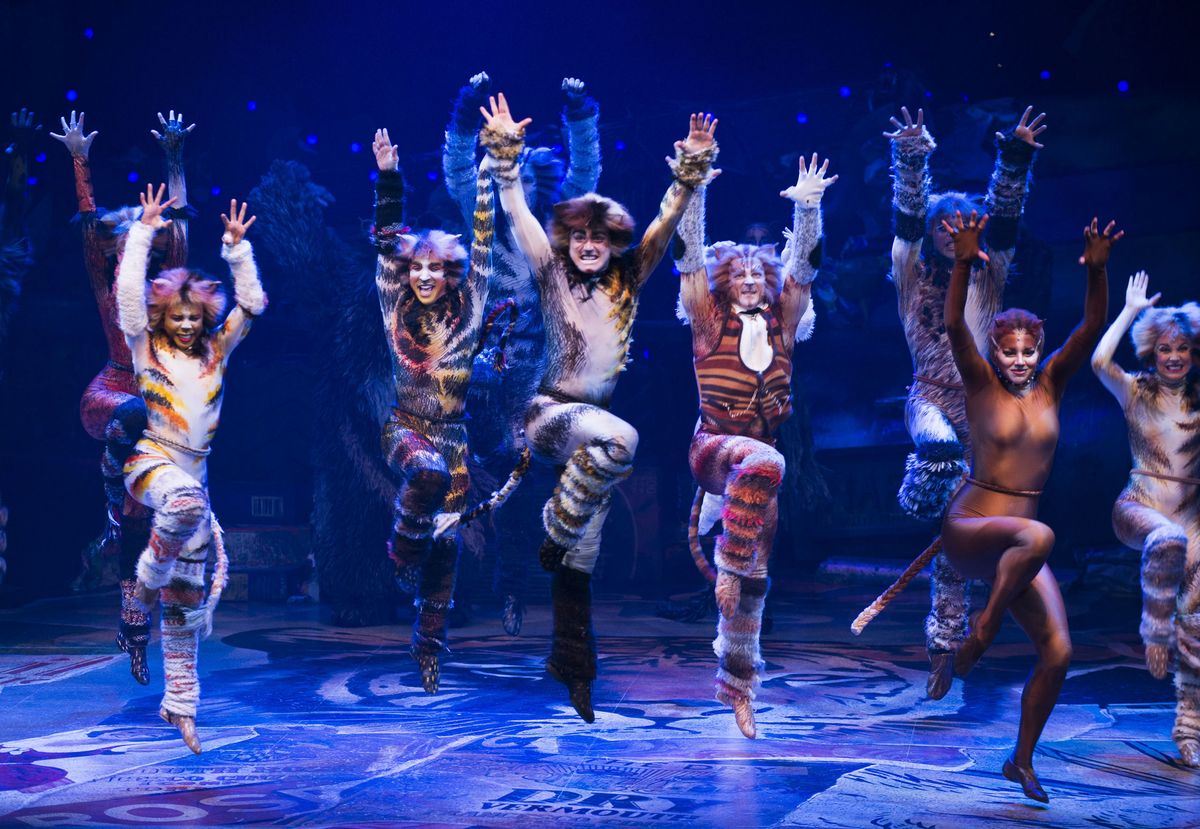 Cats On Broadway