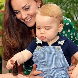prince george butterfly