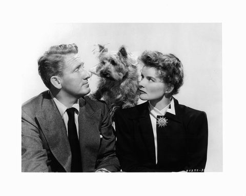 Spencer Tracy and Katharine Hepburn sit with a dog on their shoulders in a scene from the 1945 film Without Love