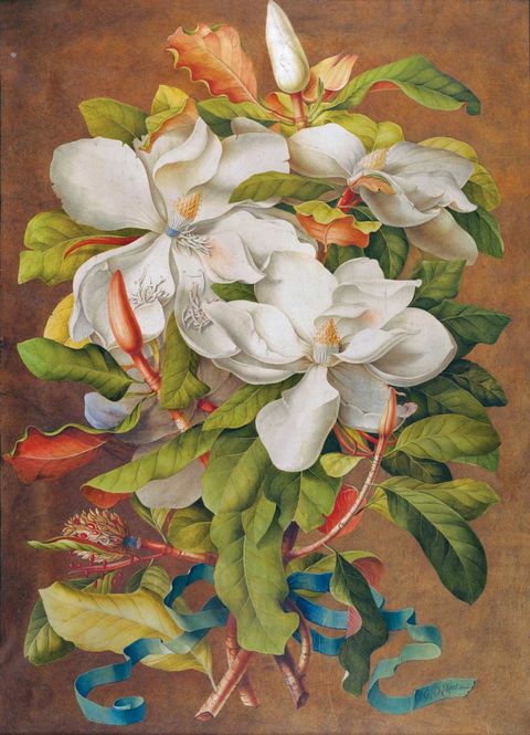 Petal, Flower, Paint, Art, Botany, Illustration, Painting, Blossom, Watercolor paint, Flowering plant, 