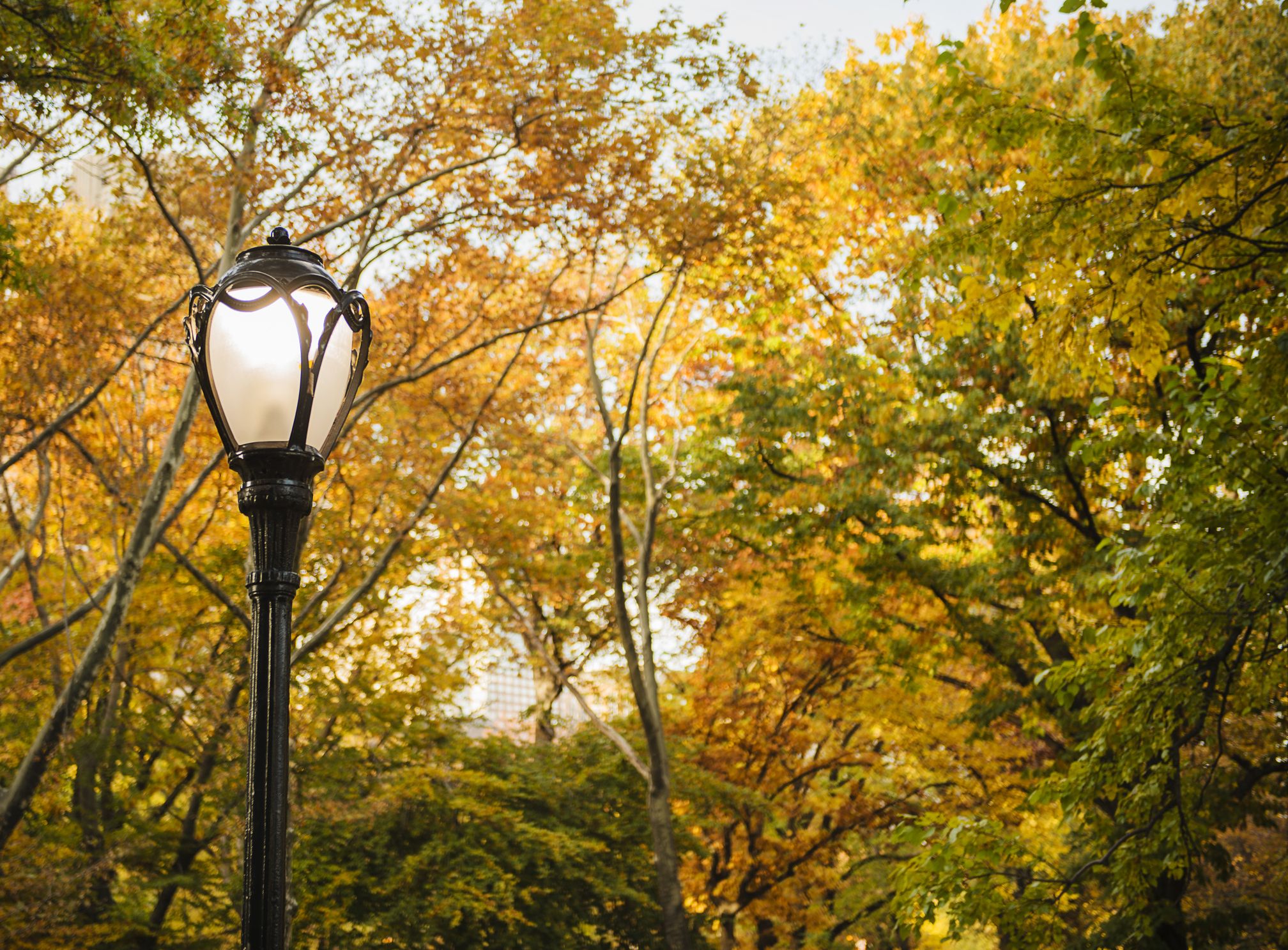 How To Read The Secret Code On, Code Of Central Park Lamp Posts