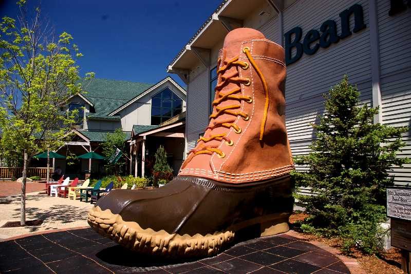 Brown, Ice skate, Tan, Boot, Work boots, Outdoor shoe, Evergreen, Steel-toe boot, Conifer, Fir, 