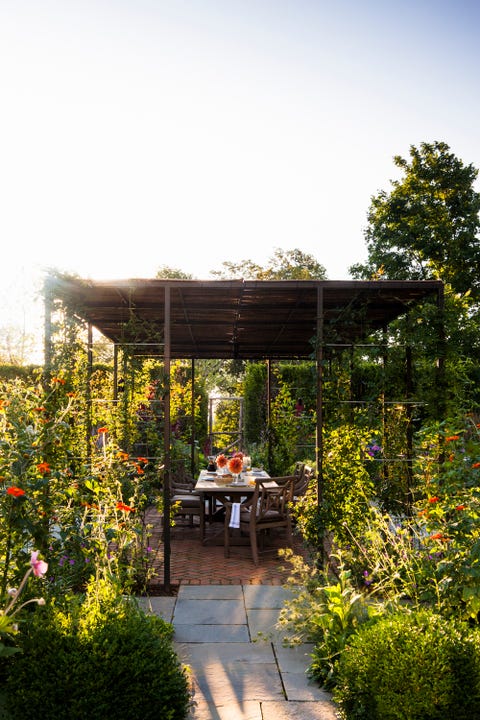 Garden, Botany, Pergola, Shrub, Outdoor table, Shade, Outdoor furniture, Botanical garden, Gazebo, Patio, 