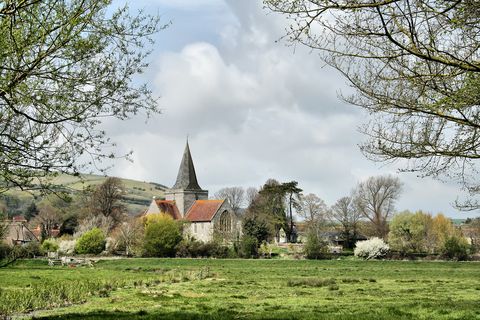 Tree, Land lot, Woody plant, Spire, House, Rural area, Grassland, Medieval architecture, Garden, Steeple, 