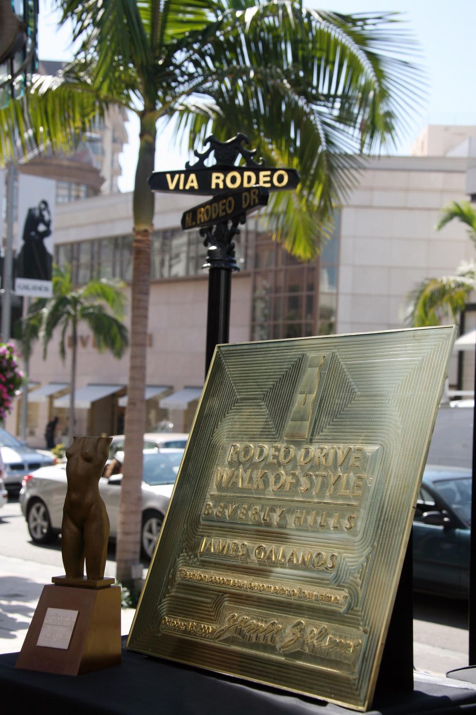 Arecales, Brass, Signage, Palm tree, Bronze, Commemorative plaque, 