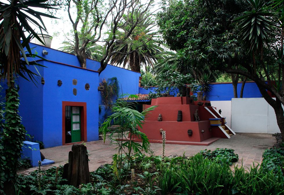 Plant, Property, Tree, House, Real estate, Majorelle blue, Woody plant, Land lot, Arecales, Azure, 