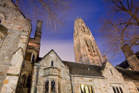 Facade, Wall, Medieval architecture, Twig, Stone wall, Arch, Symmetry, Abbey, Historic site, Brick, 