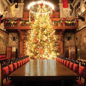 Lighting, Interior design, Room, Hall, Interior design, Christmas tree, Decoration, Christmas decoration, Light fixture, Holiday, 