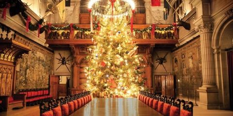 Lighting, Interior design, Room, Hall, Interior design, Christmas tree, Decoration, Christmas decoration, Light fixture, Holiday, 