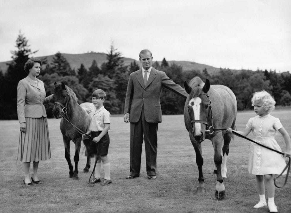 Photograph, Horse, Black-and-white, Horse trainer, Photography, Working animal, Monochrome, Style, 