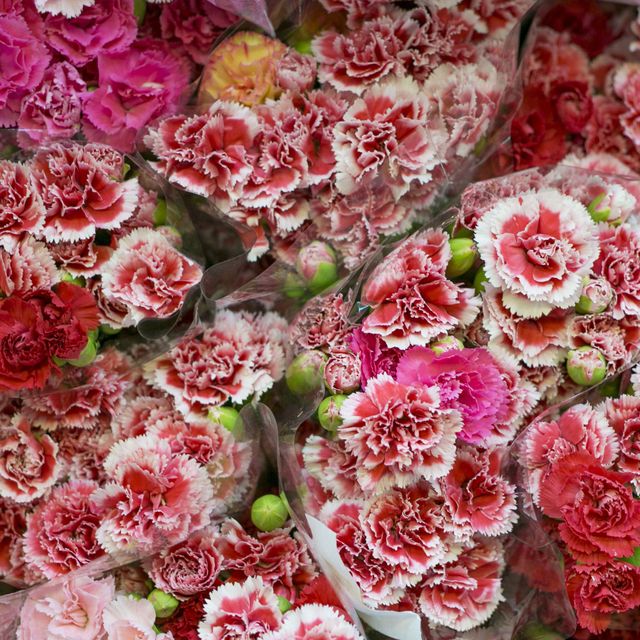 Red, Pink, Flower, Petal, Flowering plant, Floristry, Cut flowers, Artificial flower, Flower Arranging, Floral design, 