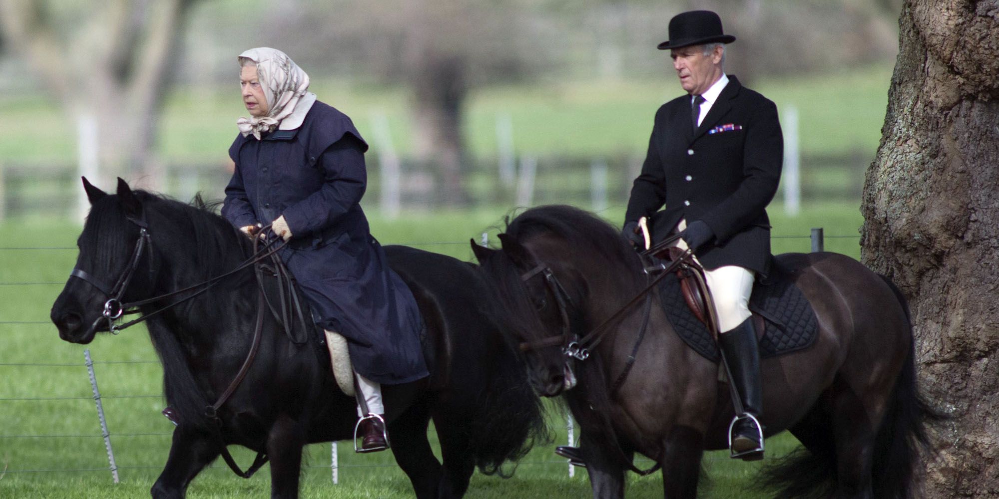 8 Horses With Beautiful Hair - Country Living