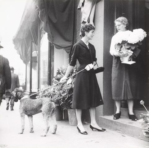 Jackie Kennedy walks the couples' dog around Georgetown in 1954.
