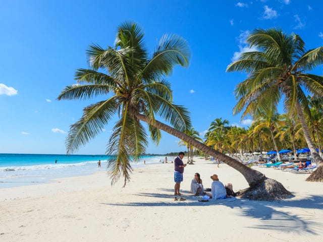 Tulum Hotels Raided By Police The Future Of Mexico S Hottest Beach Inside The Turmoil In Tulum Mexico S Hottest Beach Destination