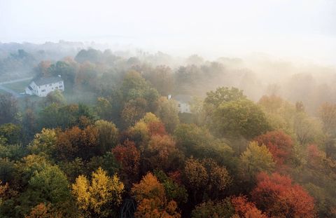 Autumn foliage shrouded in early-morning mist just outside Poughkeepsie, in New York's Hudson River Valley.