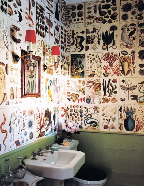 Decorator Steven Gambrel transformed the powder room of his 1810 Sag Harbor, New York, house into a fantasy of flora and fauna, covering the walls with pages from a reissue of Cabinet of Natural Curiosities, a compilation of elaborate engravings commissioned by the 18th-century Dutch naturalist Albertus Seba.