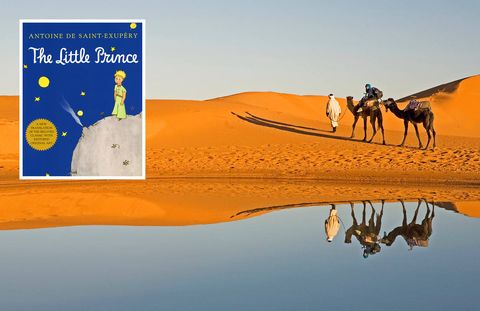 You and your children won't experience the Sahara Desert quite as it appears in The Little Prince, populated as it is by wayward interstellar royalty and crash-landed aviators, but the book is still a charming look at landscapes, celestial and otherwise. This slim volume of lasting life lessons illustrated in whimsical watercolor is a youth classic, so don't skimp out on it with the kids before your safari—it'll stick with them much longer than the duration of your trip.