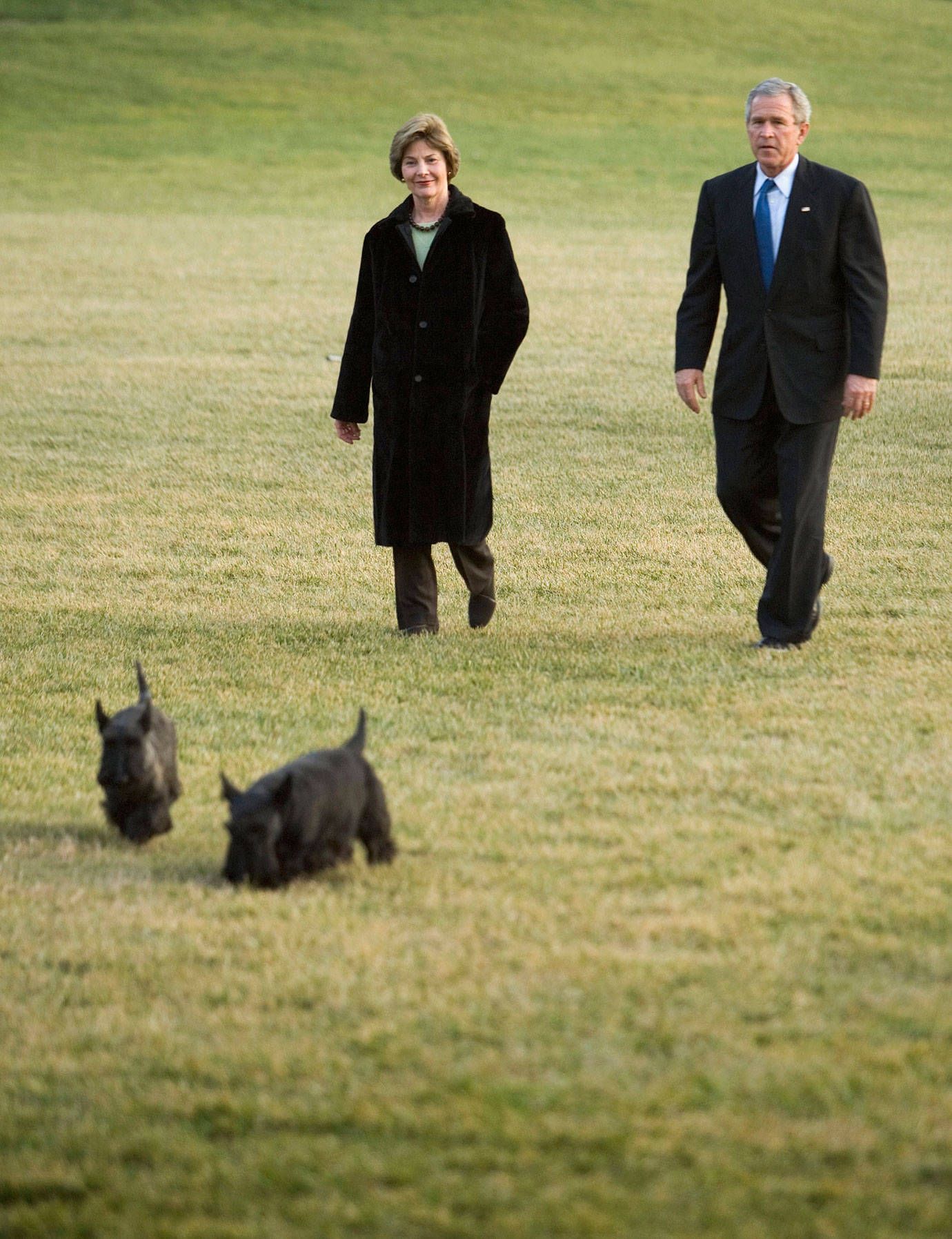first dog in the white house