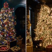 Lighting, Christmas decoration, Interior design, Event, Room, Christmas tree, Christmas ornament, Interior design, Home, Christmas eve, 