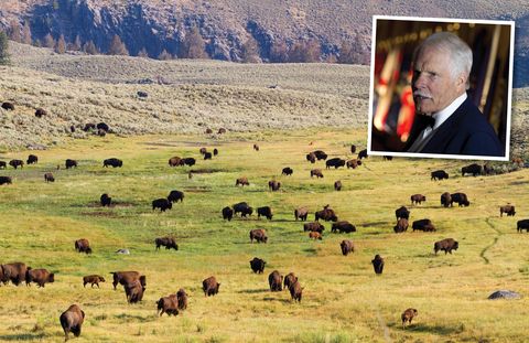 Ted Turner owns land in New Mexico, Colorado, Montana, South Dakota, Nebraska, and Kansas, and much of it is home to his bison herd, which, at 55,000 head, accounts for more than 10% of all the bison on earth.Acreage, in Rhode Islands: 2.02