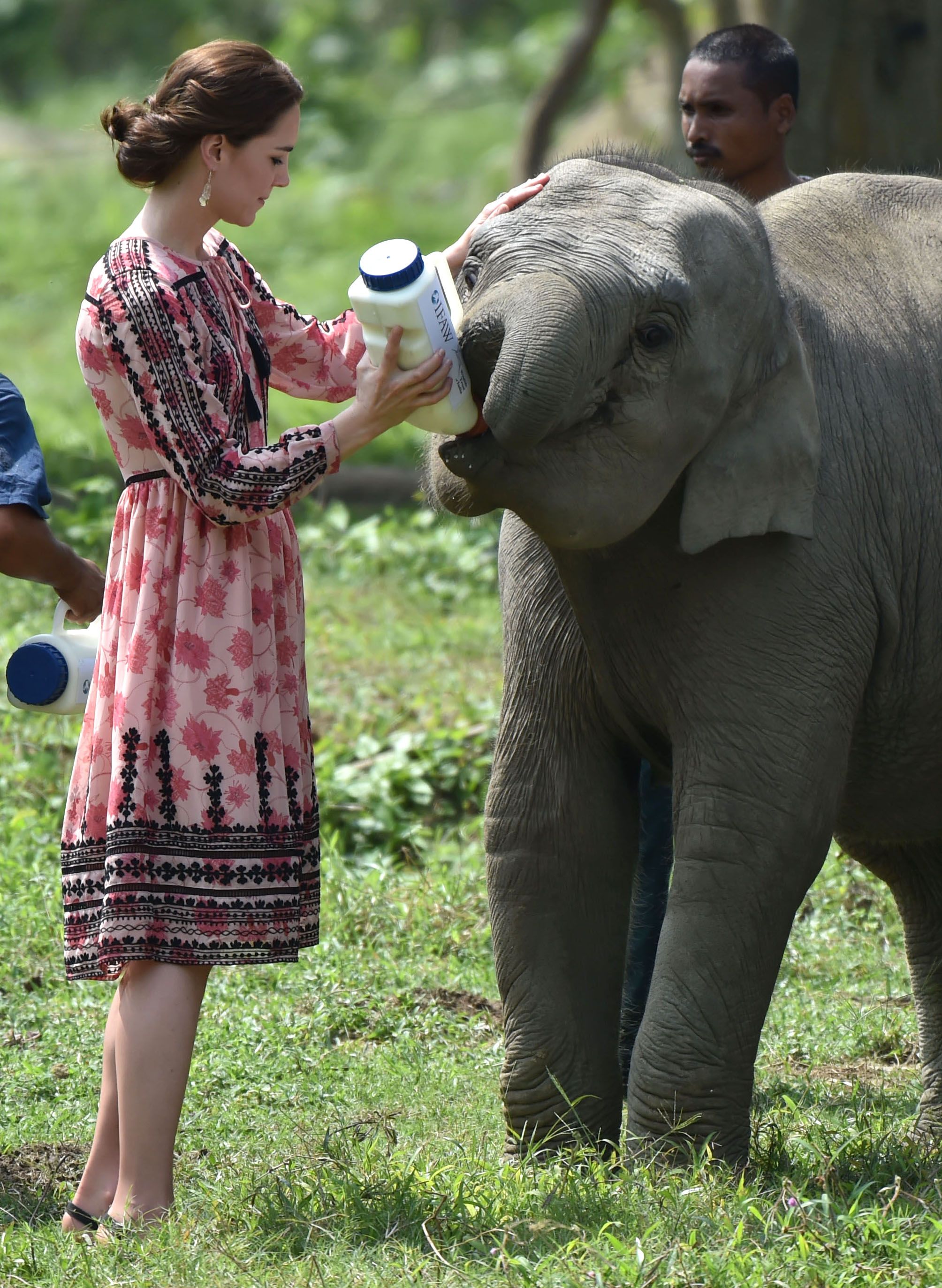 KOMJKH Catherine Duchess of Cambridge kate - middleton India