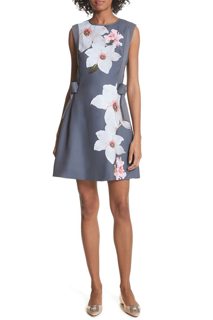 Ted Baker London Chatsworrth A-Line Dress