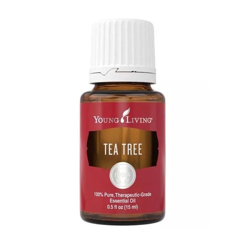 Young Living Tea Tree (Melaleuca Alternifolia) Essential Oil