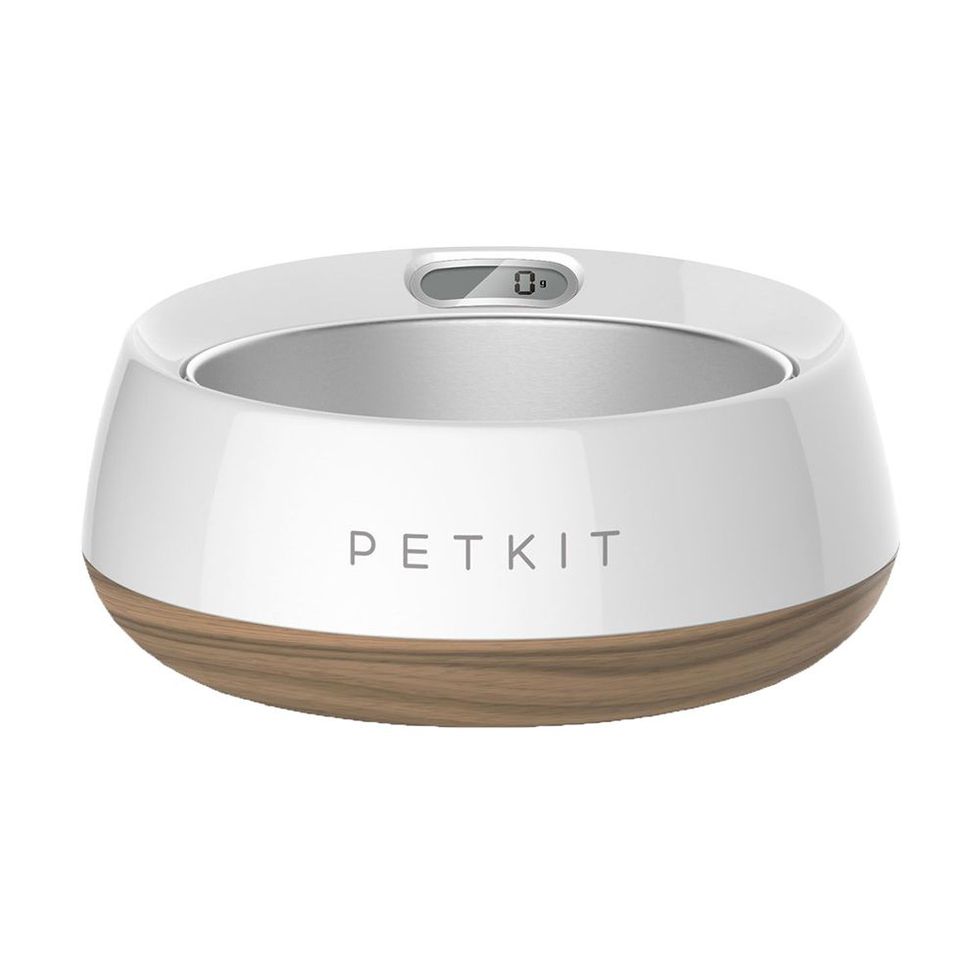 PetKit Fresh Smart Dog Bowl