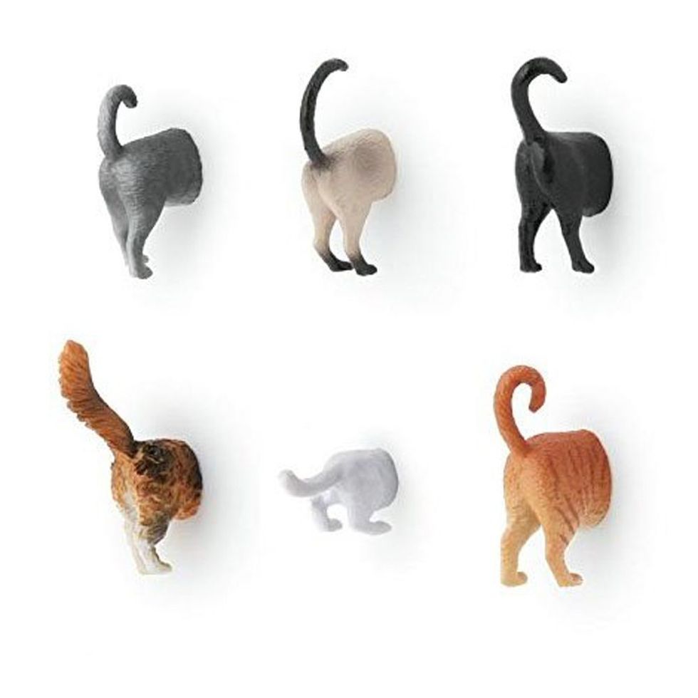 Kikkerland Cat Butt Fridge Magnets (Set of 6)