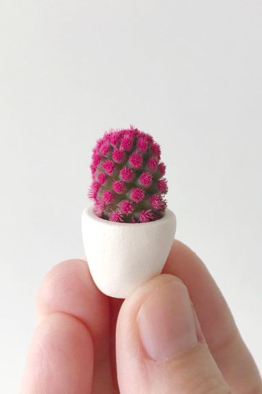 This Micro-Cactus Trend Is Too Cute - Joanna Gaines Loves Mini Cacti Too