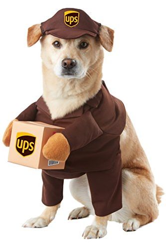 Funny Dog Halloween Costume UPS Driver