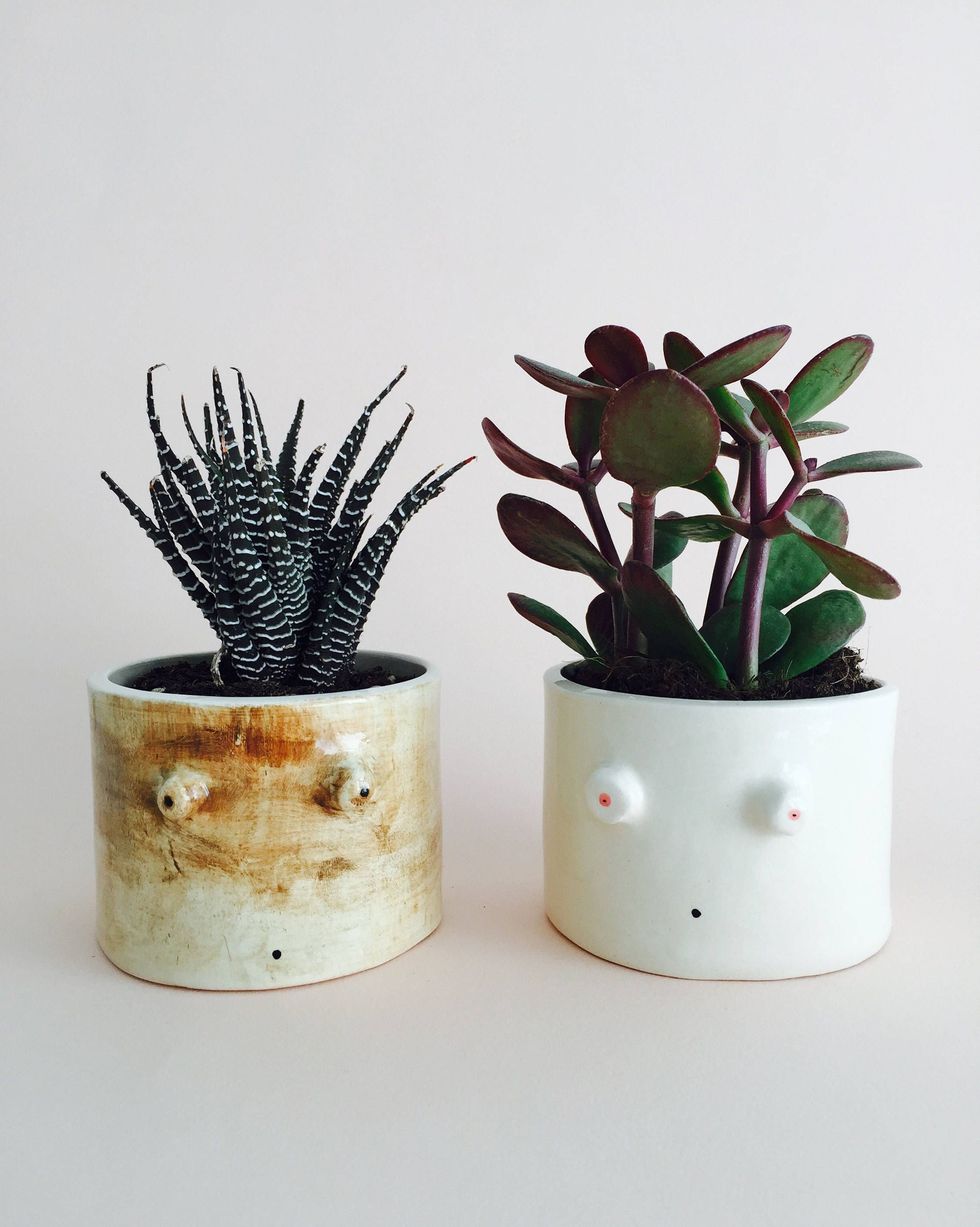 12 Best Boob Planters - Funny Breast Planters And Vases