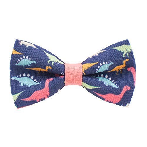 Bow Tie House Dinosaurs Bow Tie 