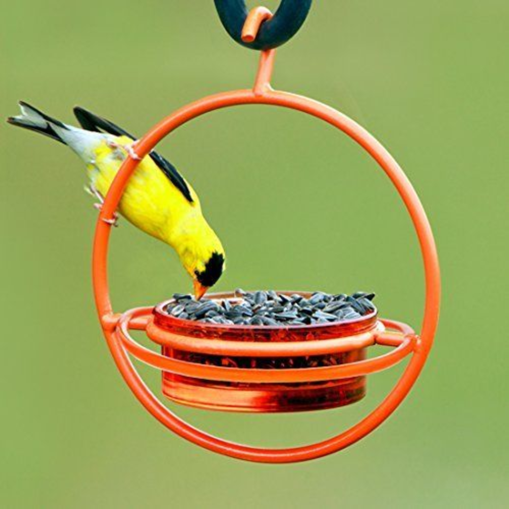 aesthetic bird feeder