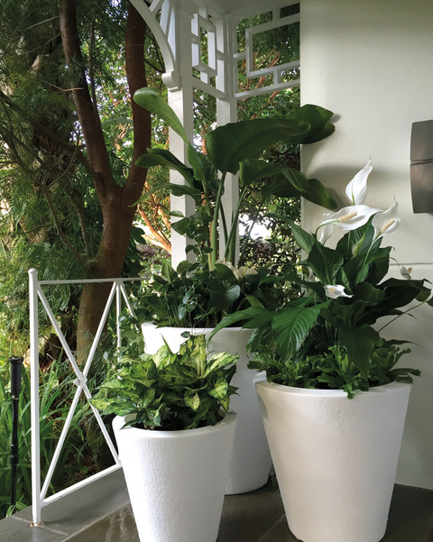 10 Best Garden Planters - Cute Pots for Your Yard