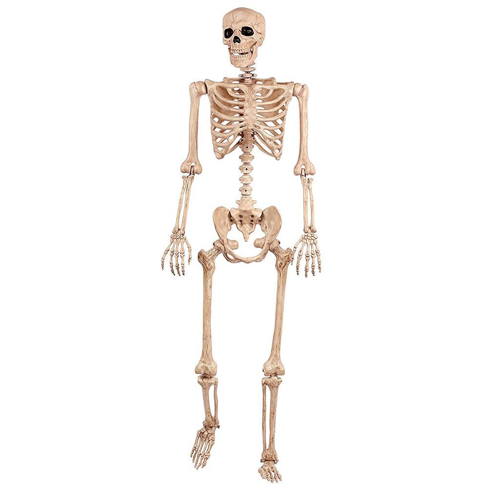 Crazy Bonez Pose-N-Stay Skeleton