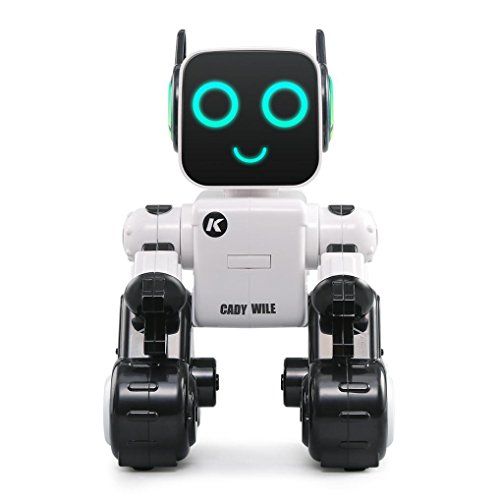 Sannysis R4 Robot Toy