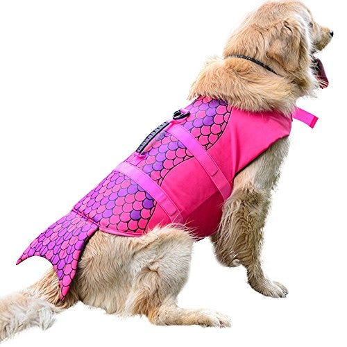 Queenmore Dog Life Jacket High Floatation Pet Life Vest