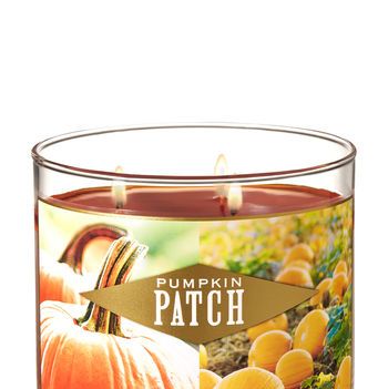 Pumpkin Patch 3-Wick Candle