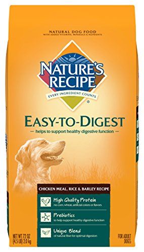 Nature's Recipe Easy to Digest Dry Dog Food