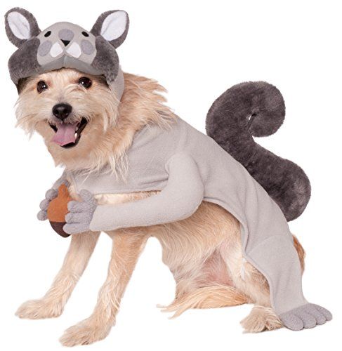 Squirrel Costume