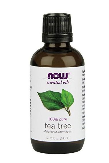 NOW Solutions Tea Tree Essential Oil